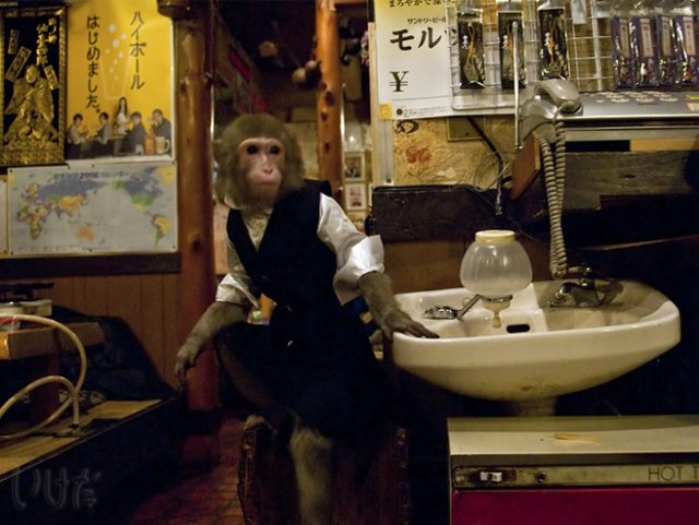 El restaurante que tiene monos trabajando como meseros