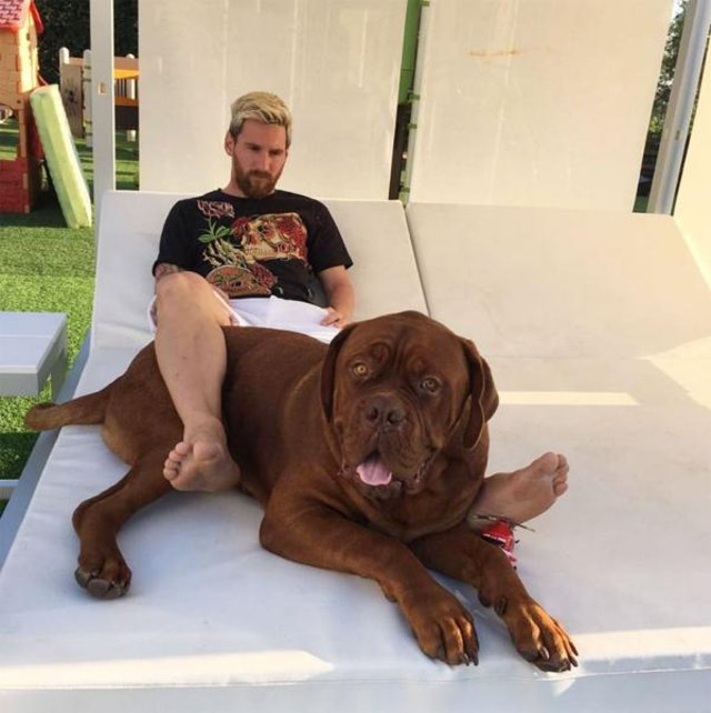 ¿Con qué nombre bautizó Messi al perro que le regaló Antonella?