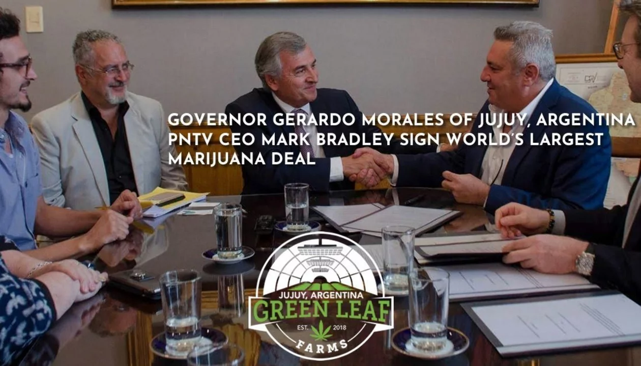 Instalarán en Jujuy la plantación de marihuana más grande del mundo