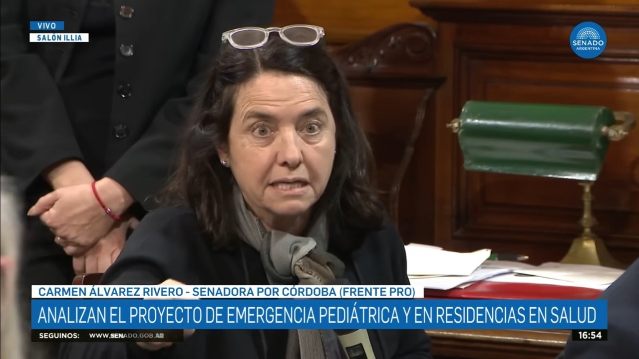 La senadora del PRO, Álvarez Rivero: "No creo que los niños argentinos tengan derecho a venir al Garrahan a ser curados"