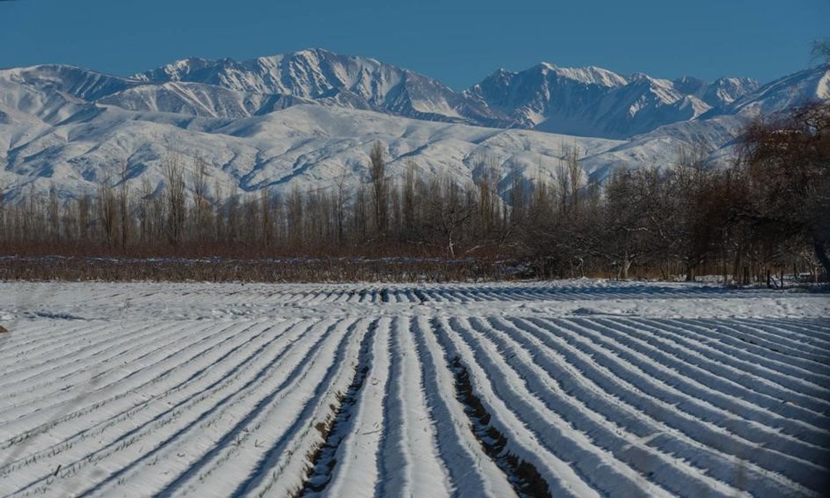 Estas son las mejores escapadas para hacer a Mendoza en las vacaciones de invierno