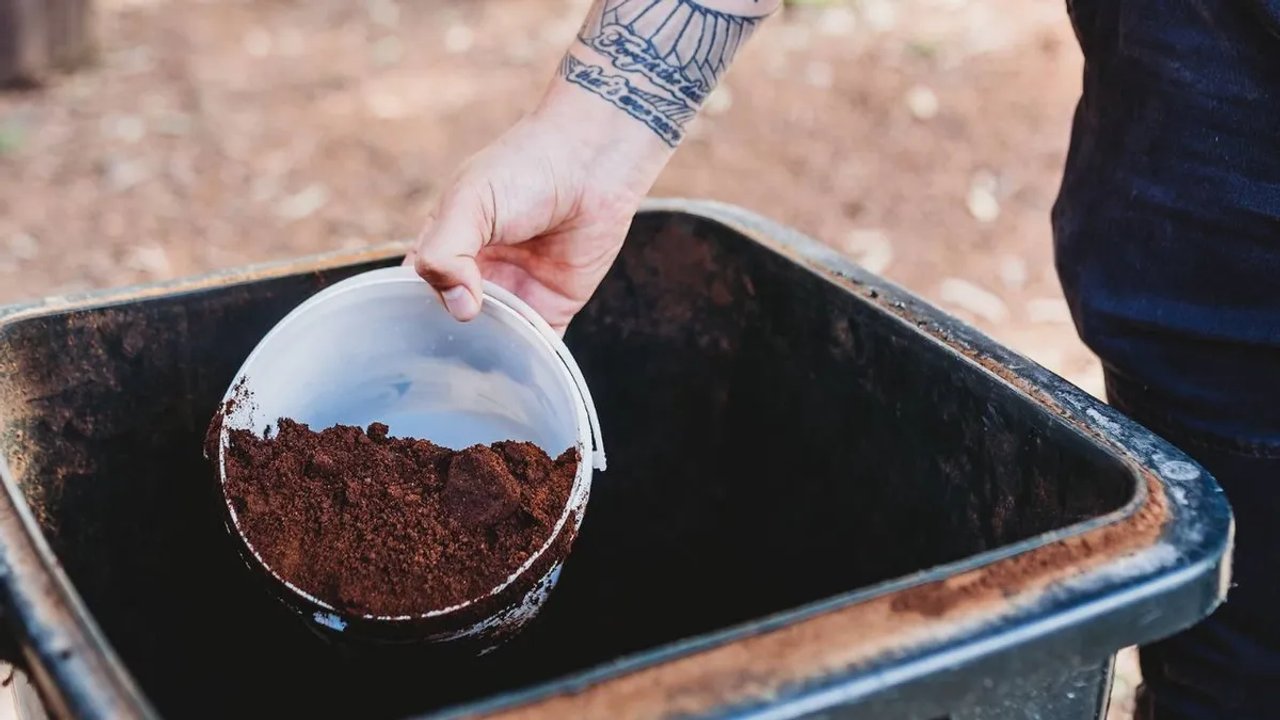 Mar del Plata transforma los residuos de café en soluciones sustentables
