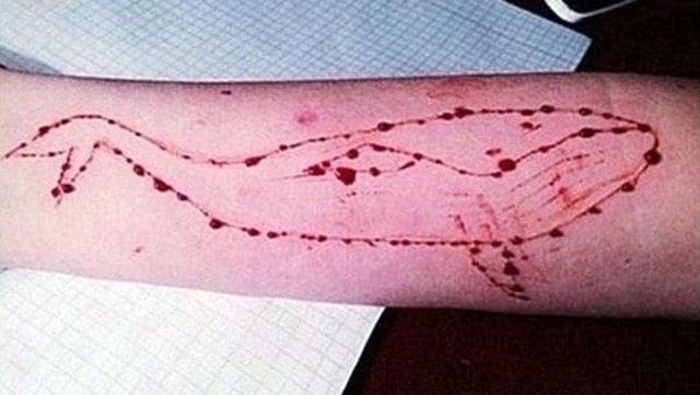 Después de "La ballena azul" llega "La ballena rosa"