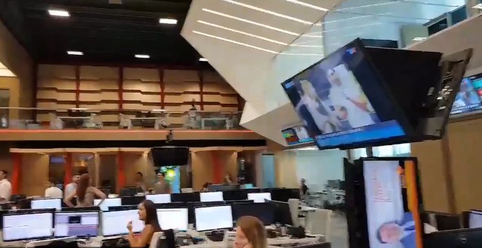 Entró a TN un animal que generó pánico y sobrevoló la redacción