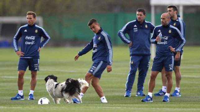 El tapado de Bauza: el perro que se entrenó con los jugadores en Ezeiza