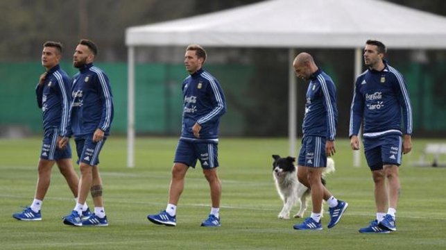 El tapado de Bauza: el perro que se entrenó con los jugadores en Ezeiza