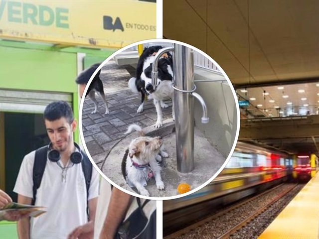 Las bochornosas propuestas de los porteños para mejorar la Ciudad