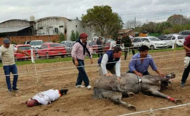 La triste imagen de los momentos que siguieron a la caída. Foto: Bichos de Campo