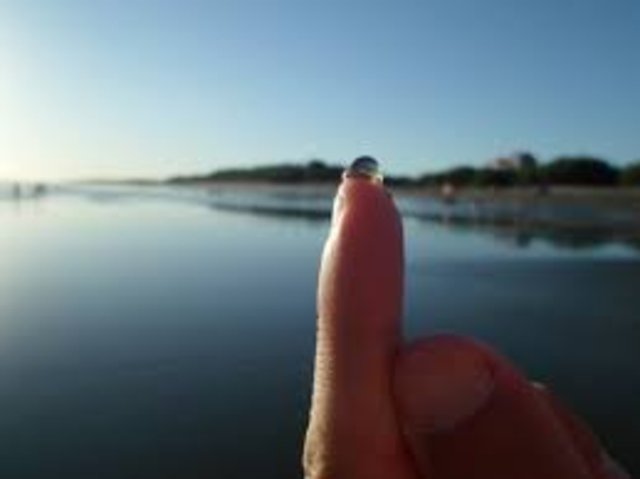 Tapiocas: el terror de los turistas en la Costa Atlantica