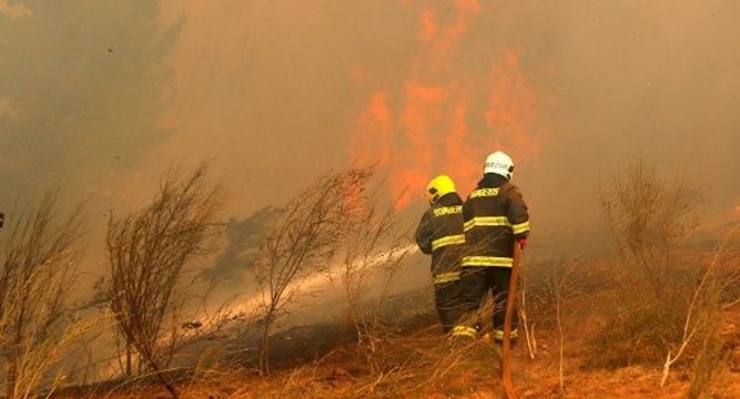 Desastre Forestal: Chile sufre el peor incendio de su historia
