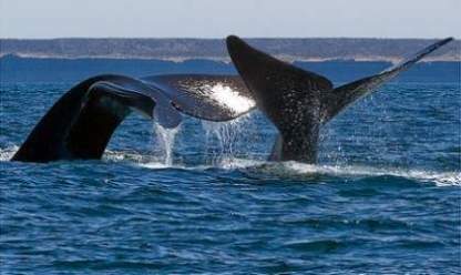 Nueve de cada 10 argentinos hará turismo en el país