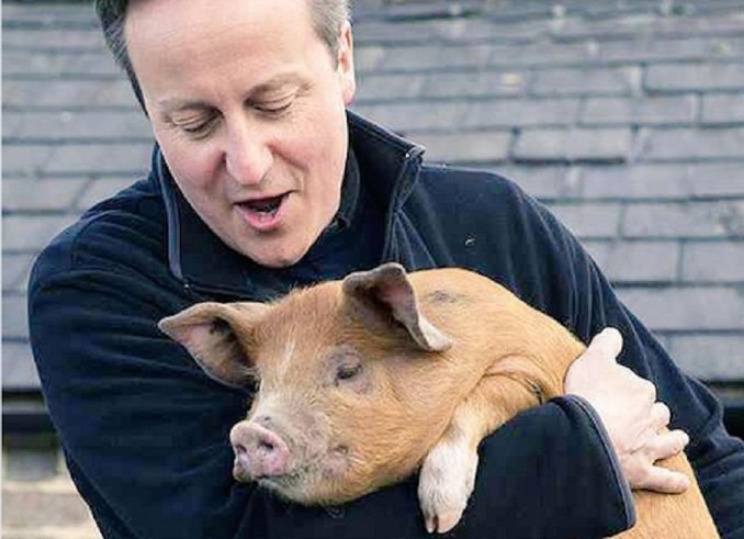 Un libro vincula a David Cameron con drogas y zoofilia