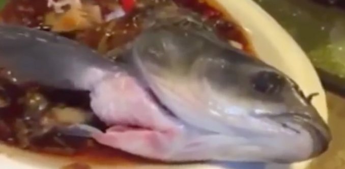 Estaba comiendo pescado que, al parecer, estaba tan crudo que se movía