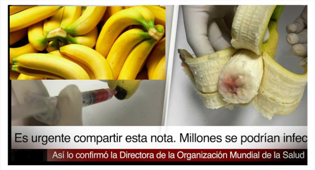 Fundación Huésped aclara la falsa noticia de bananas infectadas con VIH