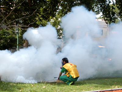Confirmaron cuatro casos de dengue en la Ciudad de Buenos Aires