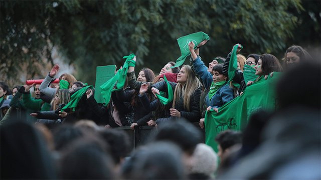 Algunas de las mejores imágenes que dejó la vigilia verde